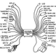 Illustration for article titled Imagine Owning a Magical Universal Converter Box Like This